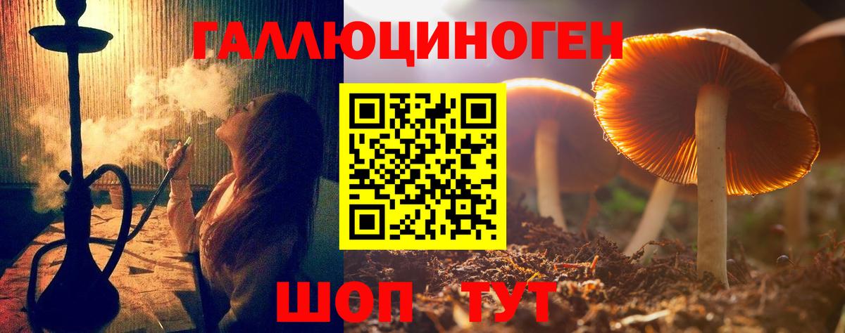 Псилоцибиновые грибы мицелий  Псилоцибиновые грибы Psilocybe  Майский  Вход с VPN 